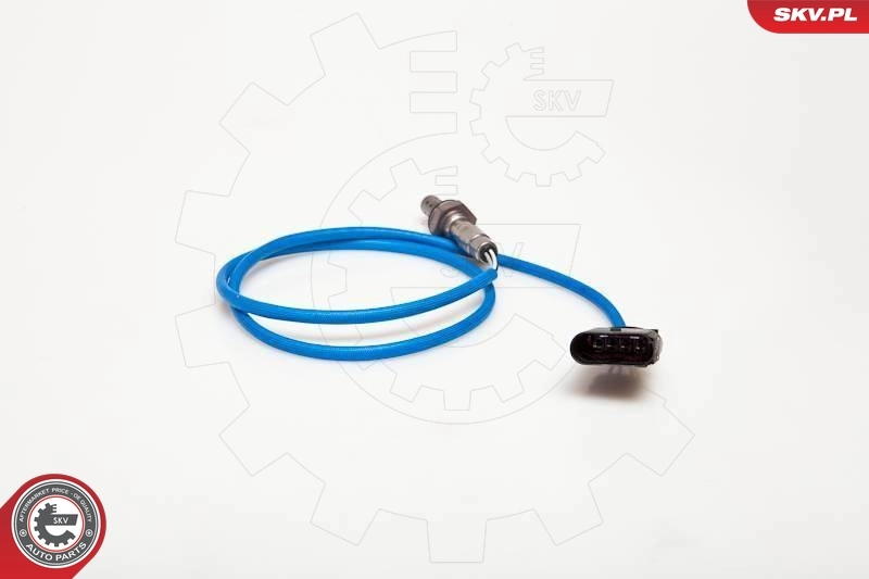 Oxygen Sensor